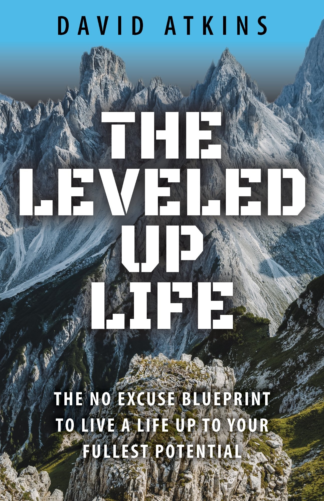The Leveled Up Life by David Atkins